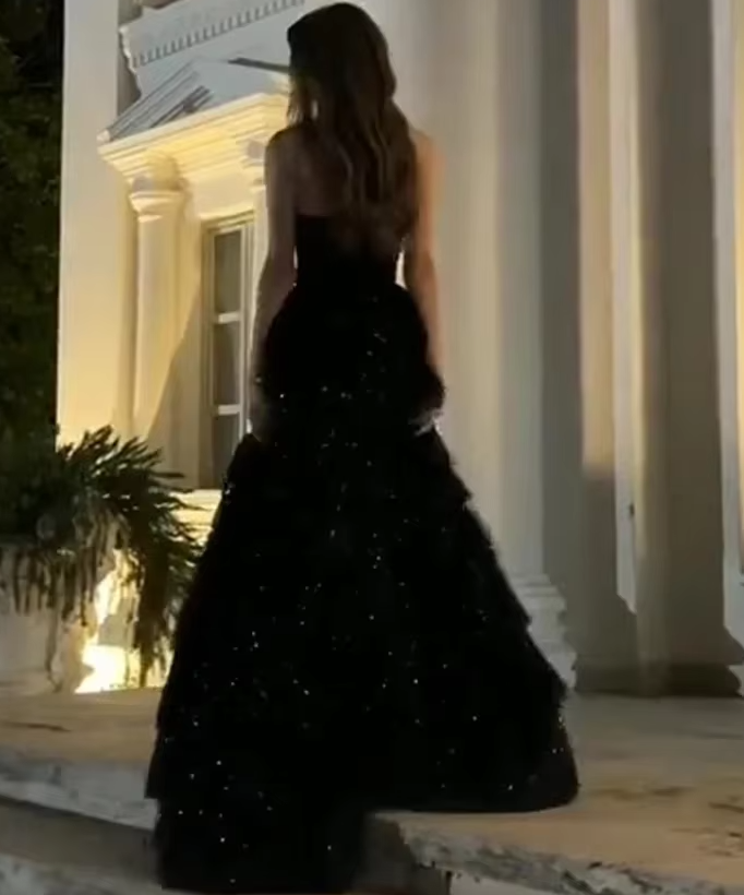 Multi-layer Shiny Elegant Dresses for Women,Luxury Party Dress,Black Prom Dress fg6756