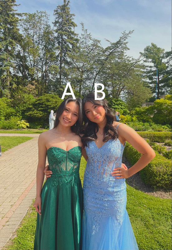 Beautiful Sleeveless Long Prom Dress Party Dress Evening Dress cg25195