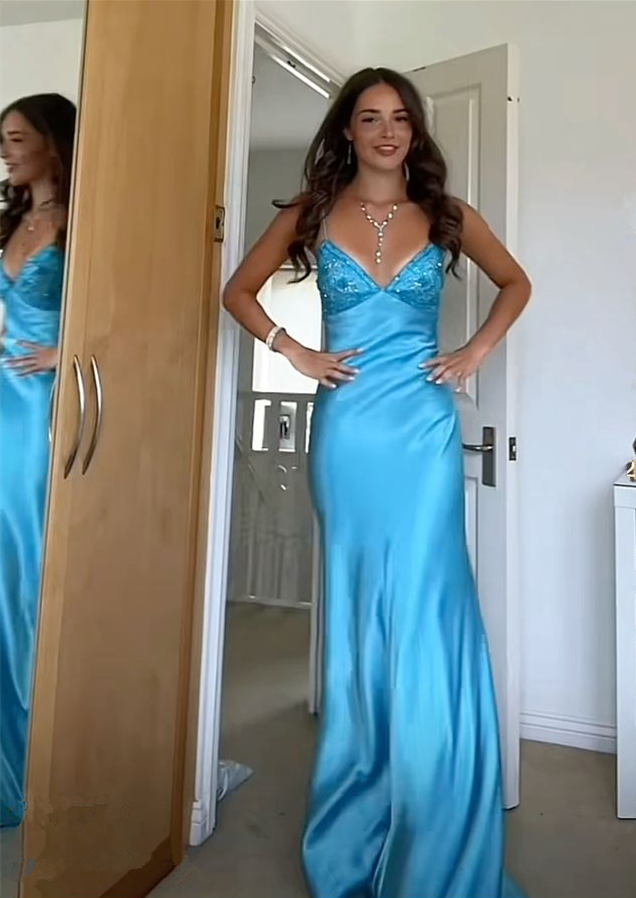 Elegant V-neck Spaghetti Memriad Long Prom Dress cg25185
