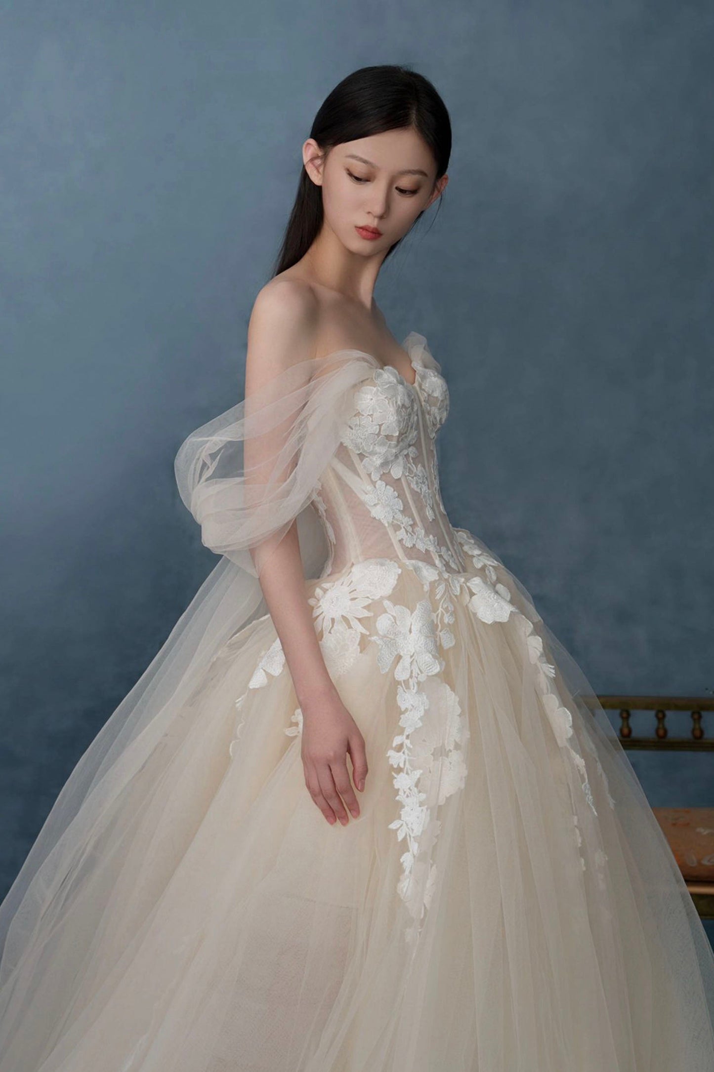 Off the Shoulder Lace Long Champagne Prom Dress, Lace Evening Formal Gown