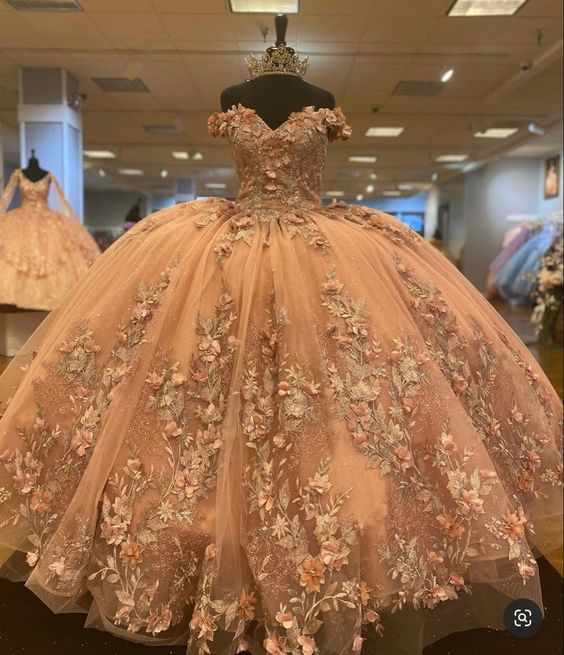 champagne lace ball gown prom dresses long evening dress fg2452