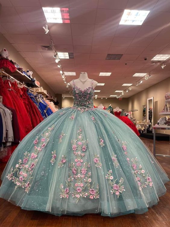 Ball Gown Long Prom Dress, Party Dress Evening Dress fg3936