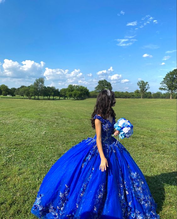 Royal blue quinceañera dress Ball Gown Evening Dress fg3938