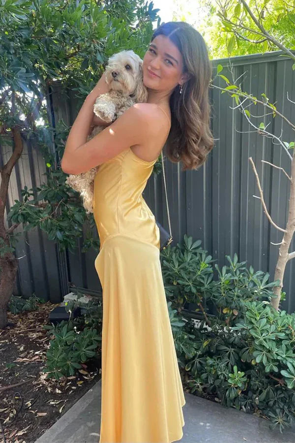 Popular Satin Spaghetti Straps Long Evening Prom Dresses cg25062