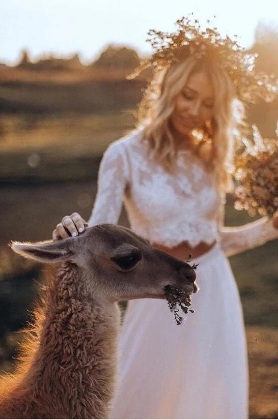 Vestido de novia informal asequible de manga larga con encaje, vestido de novia rústico de dos piezas con top corto.