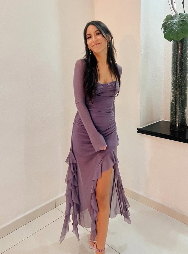 Grape Purple A Line Long Sleeve Ruffle Tulle Homecoming Dress Date Dress Outfits SH3631