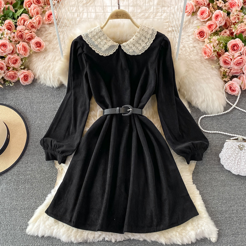Sweet Lace Long Sleeve Dress A Line Fashion Dress 10841