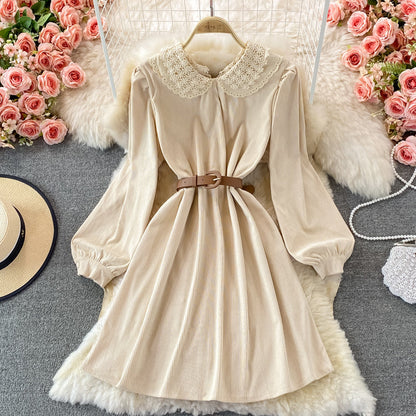 Sweet Lace Long Sleeve Dress A Line Fashion Dress  10841