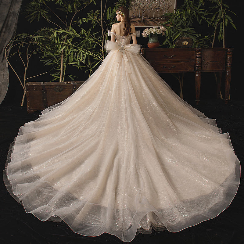Champagne tulle sequins long ball gown dress formal dress  10249
