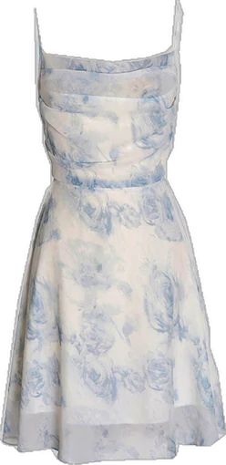 Chiffon Printed Dress Short Prom Dress Party Dress    cg26061