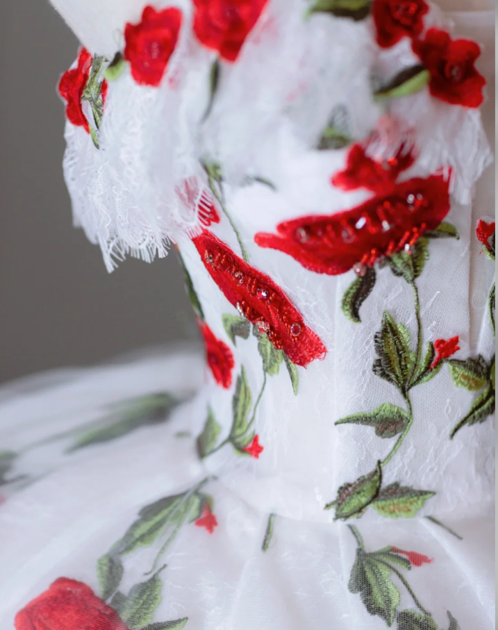 Elegante vestido de fiesta con escote corazón, de tul rojo y blanco, para fiesta de cumpleaños, baile y graduación, DP511