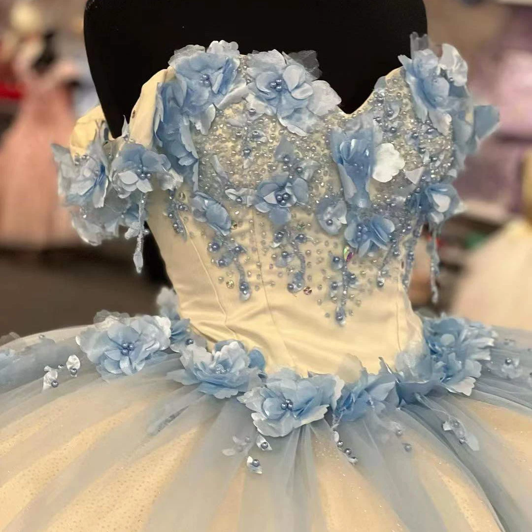 Vestidos de baile Vestido para quinceañeras Apliques Flores Fiesta Princesa Dulce 16 Vestido Vestidos De 15 Años