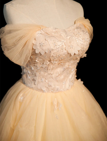 Vestido de fiesta largo de tul con capas y encaje, corte A, color champán, TP1173