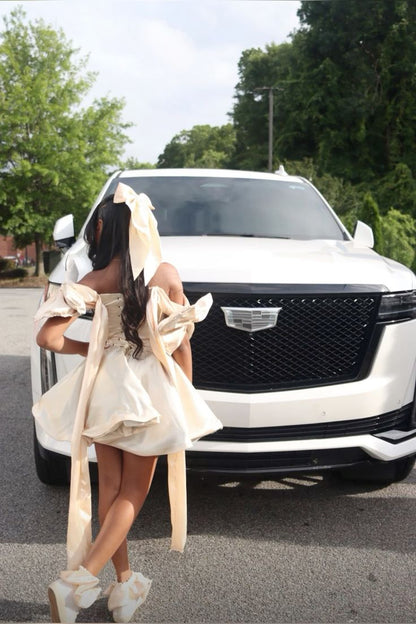 Chic Ivory Tutu Off-the-shoulder Bow Mini Homecoming Dress TP2214