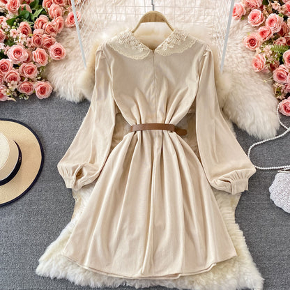 Sweet Lace Long Sleeve Dress A Line Fashion Dress  10841